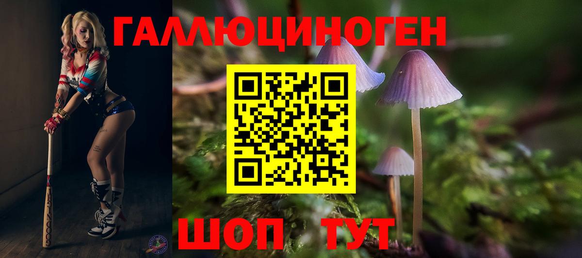 Галлюциногенные грибы Psilocybine cubensis  Галлюциногенные грибы Psilocybe  Вход с VPN  Вятские Поляны 